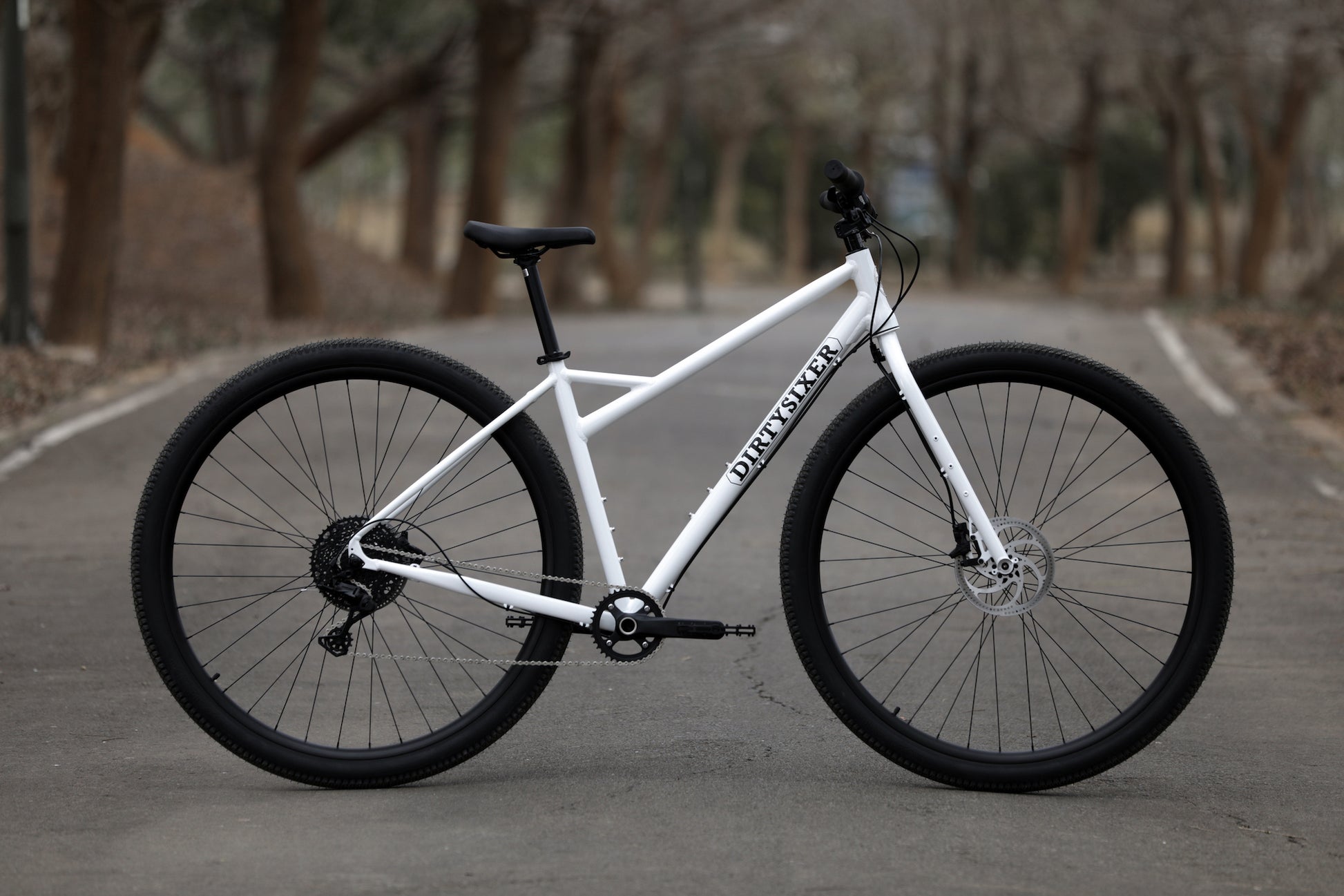 6 gear bike DirtySixer AllRoad Mark II